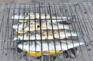 grilled fish2