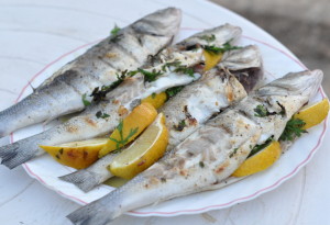 grilled fish3SM