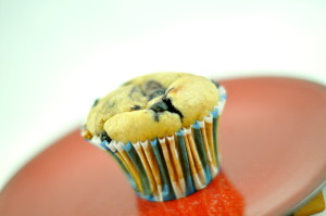 low carb muffin 1