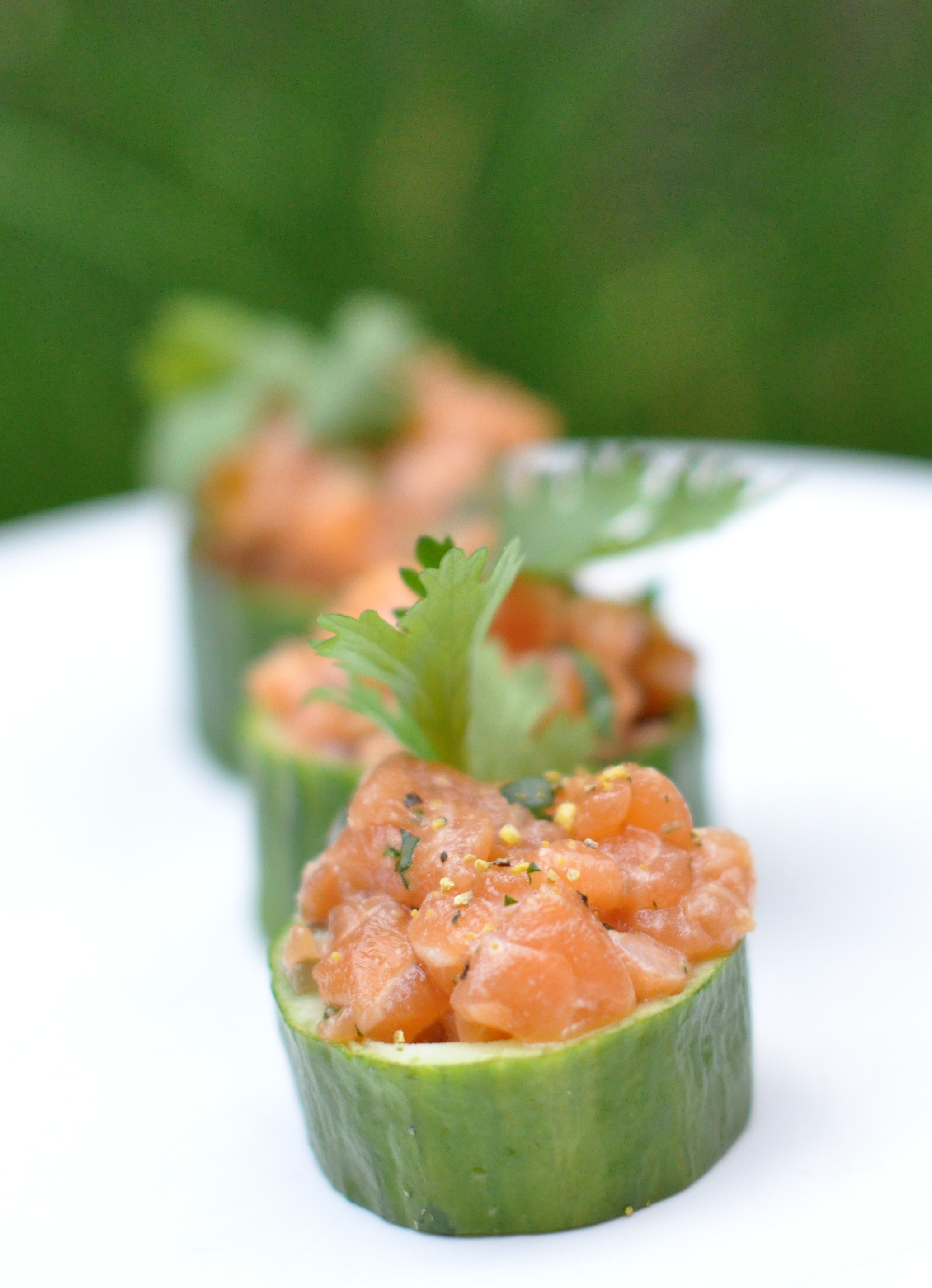 Salmon tartar