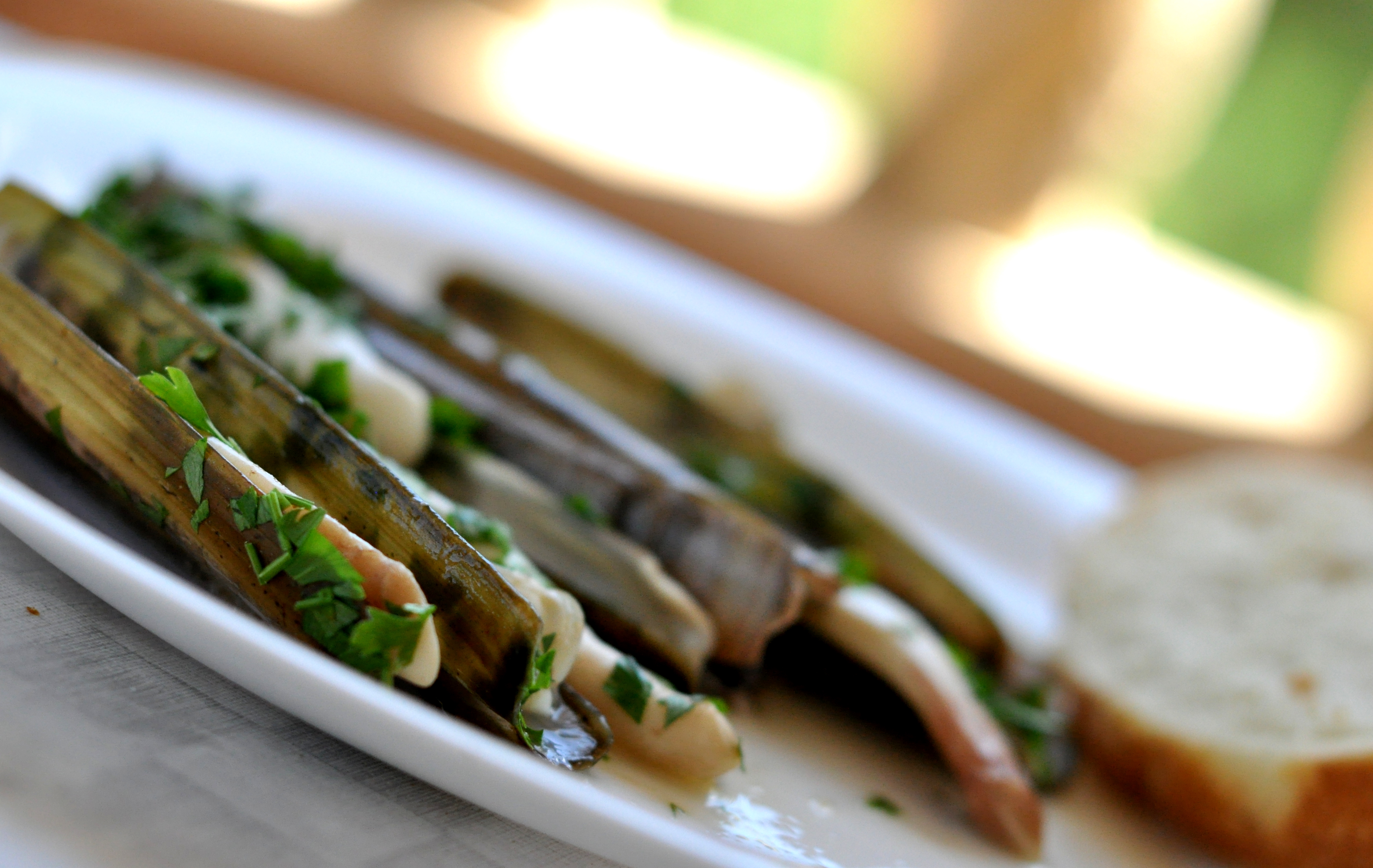 Couteaux de mer / razor clams