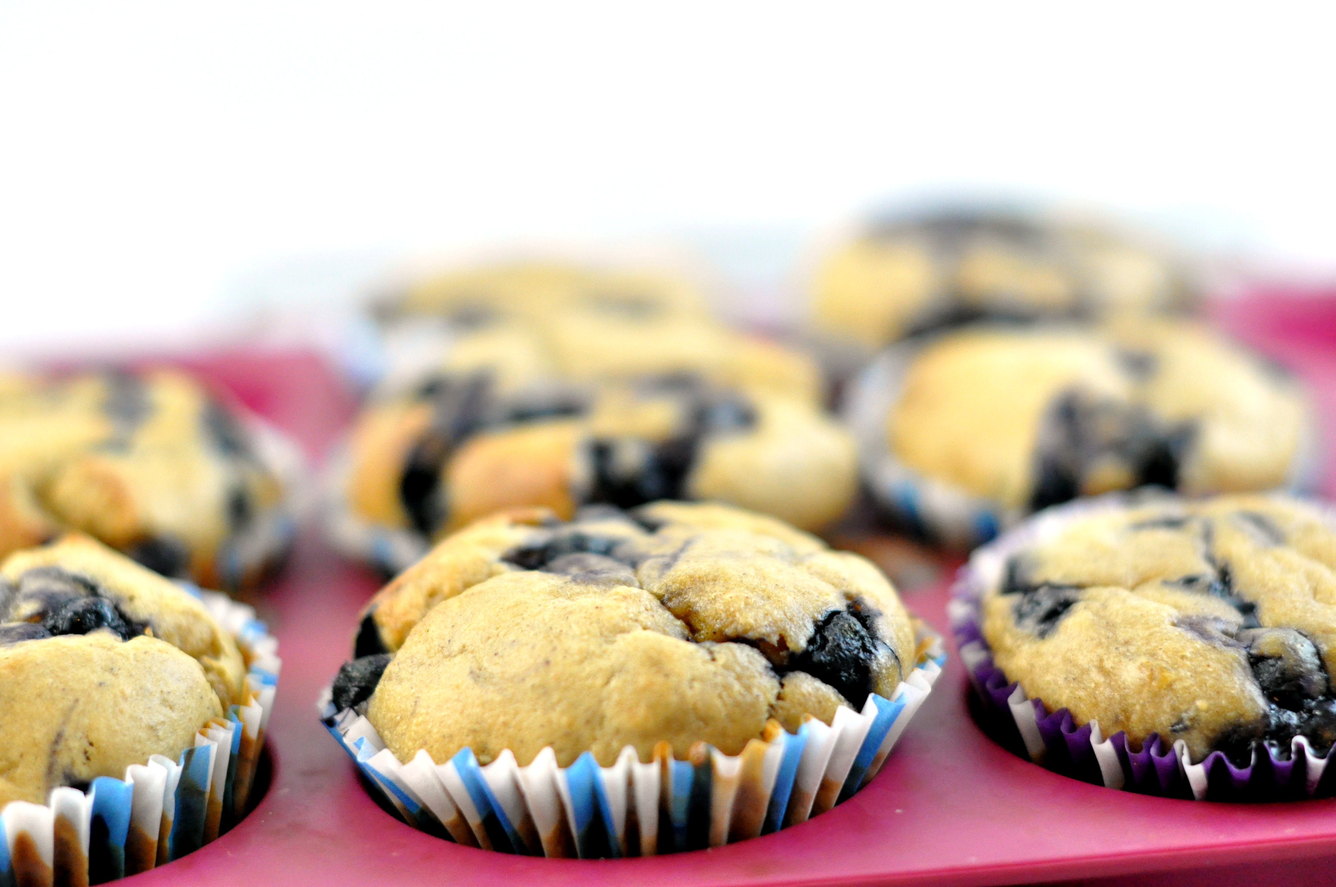 Peanut butter muffins with blueberries (low carb)