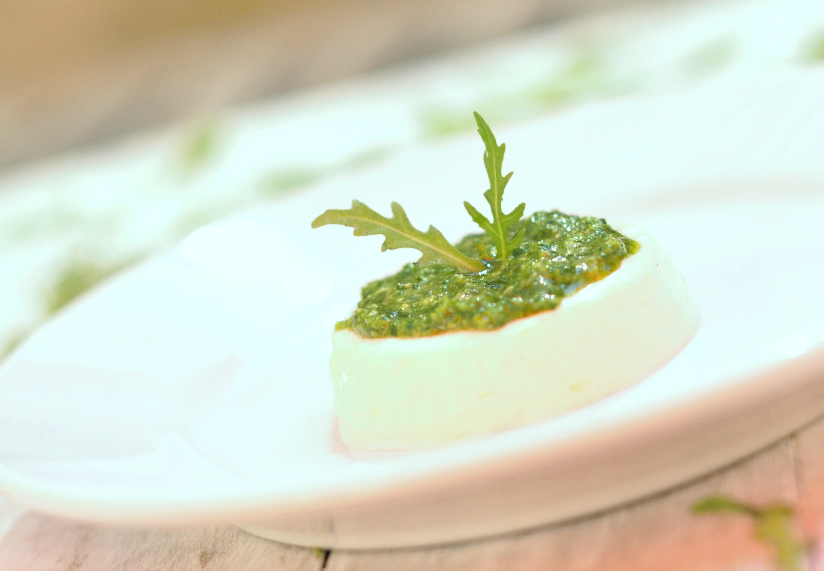 Savory panna cotta with arugula pesto