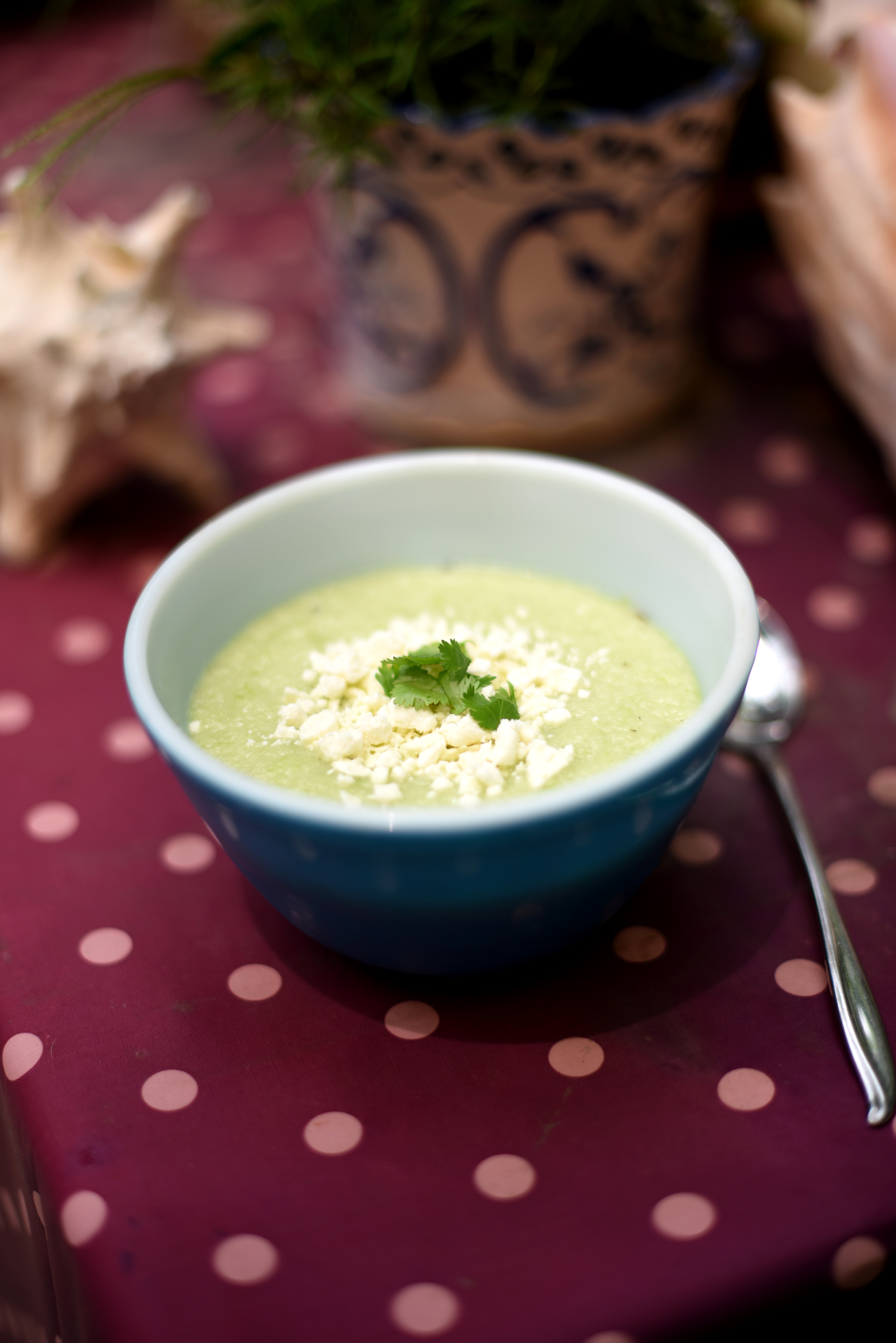 Refreshing cucumber soup