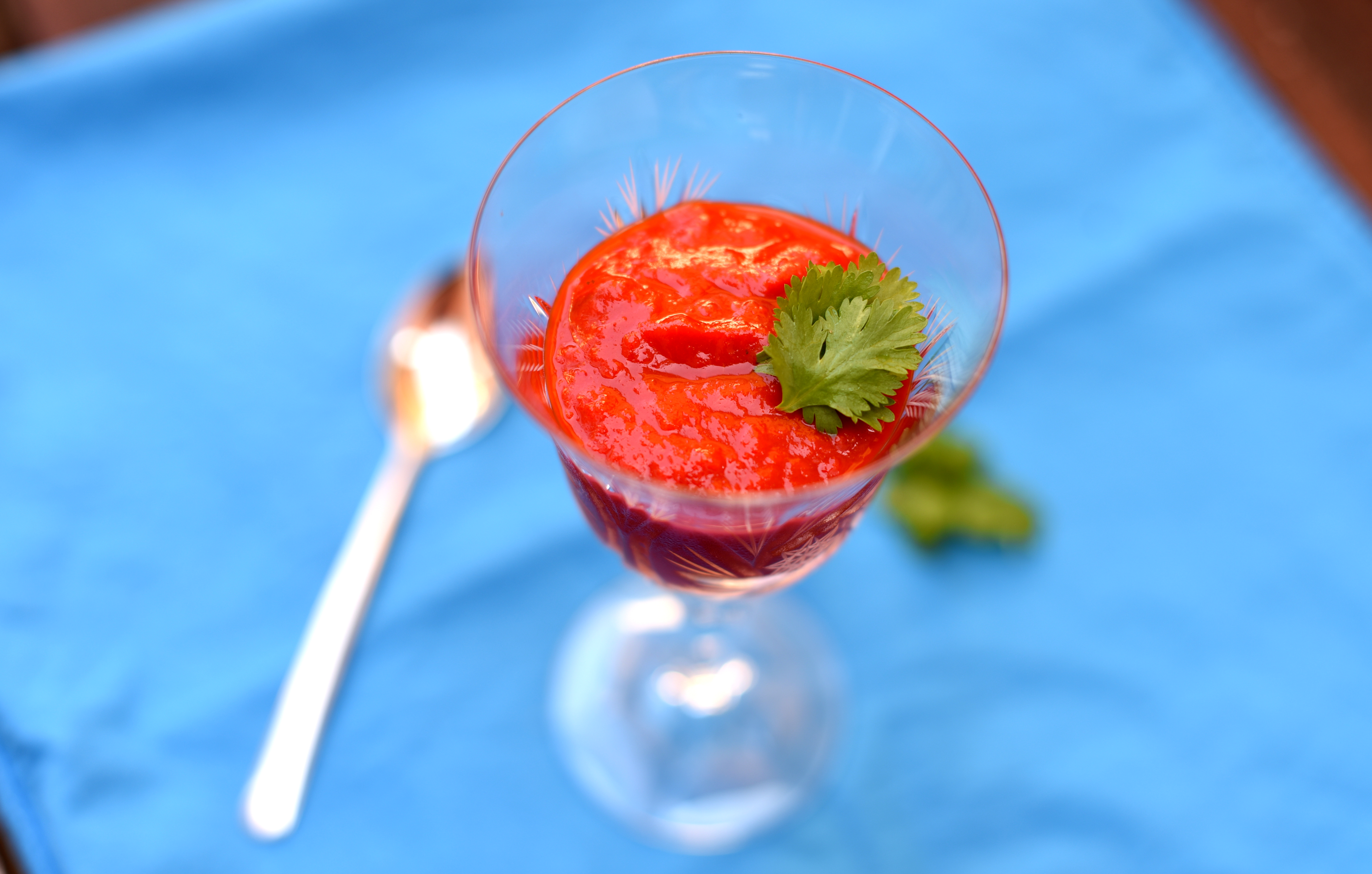 Cold hot red pepper gaspacho